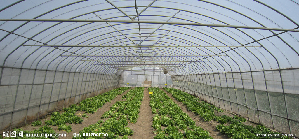 ����ϩ��ͨ��Ĥ