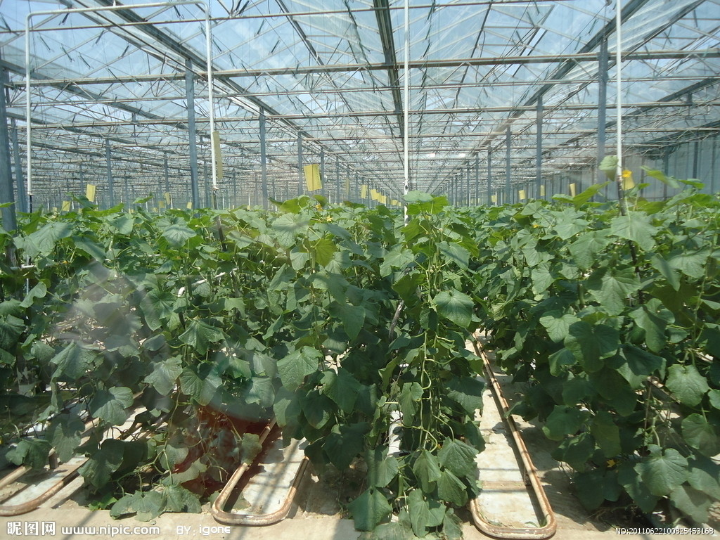 ����ϩ���ϻ�����Ĥ