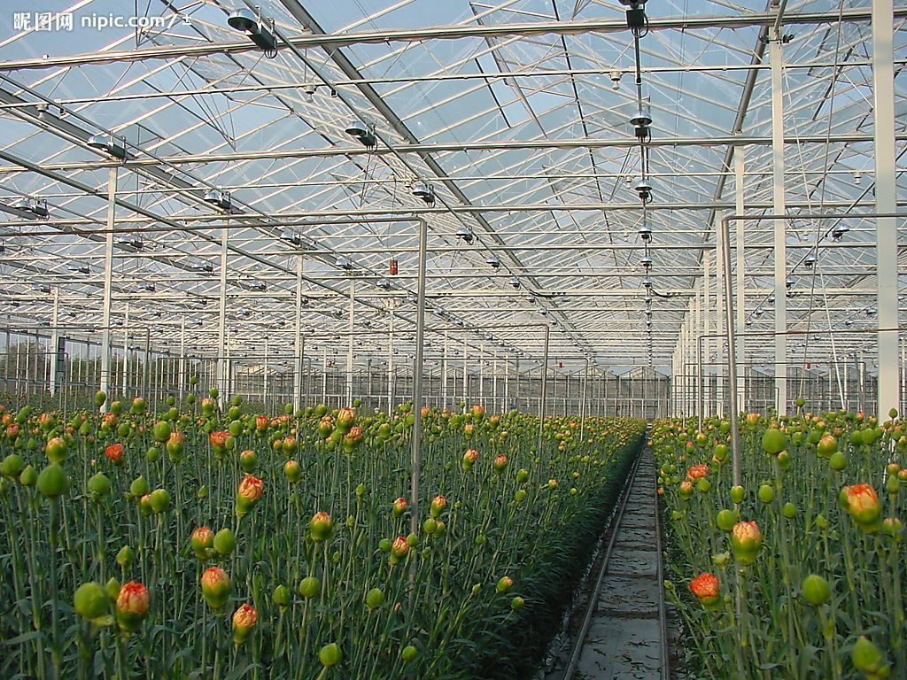 Ϳ���������������ϻ���Ĥ